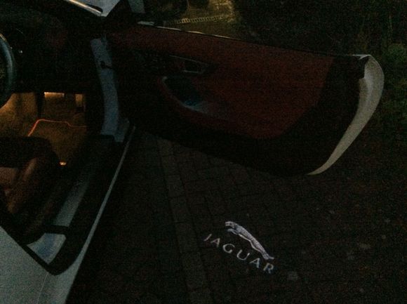 Puddle lights