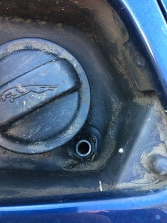 Showing rotten rubber