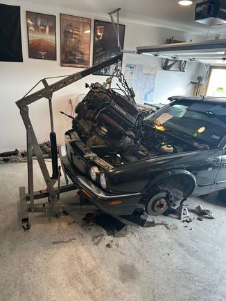 About 4 hours in, lifting it out in one piece.