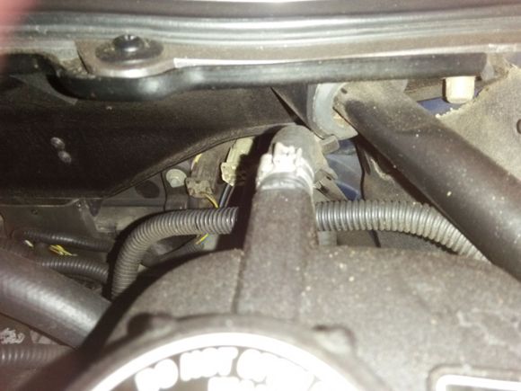 Unknown hose clamp with flash