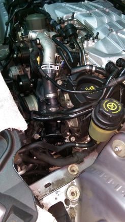 The hoses,Tstat, and Water pump are now done. it pays to take pictures of EVERYTHING BEFORE YOU START. And a small amount of lube on the hoses and nipples, goes a long way in speeding up assembly, try not to use any silicon based lubricants.