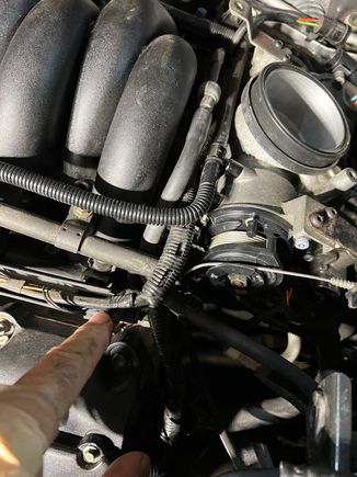 Finger pointing at injector wiring.  Not sure how to disconnect this so can lift manifold up.