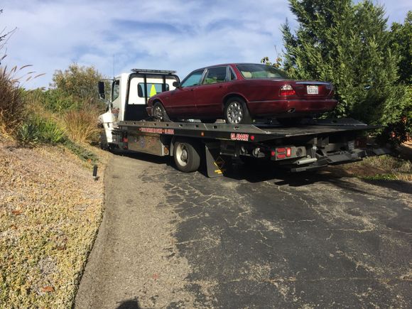 Her final ride...