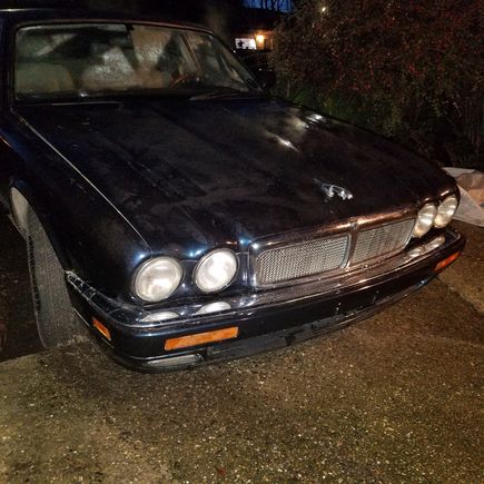 97 xjr. Daily driver