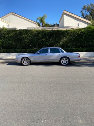 Just brought her home