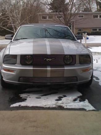 mustang 004