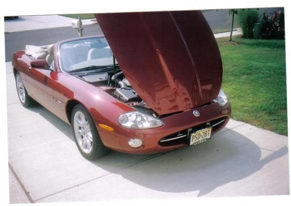 Jaguar 005