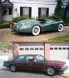 Jaguars small