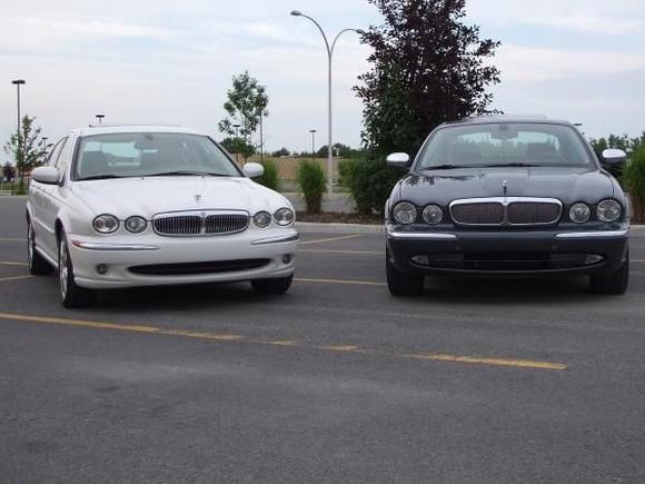 The 2 beautiful cats!