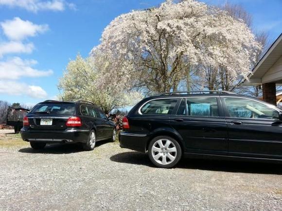 The twins. seoerated at birth, reunited in Spring