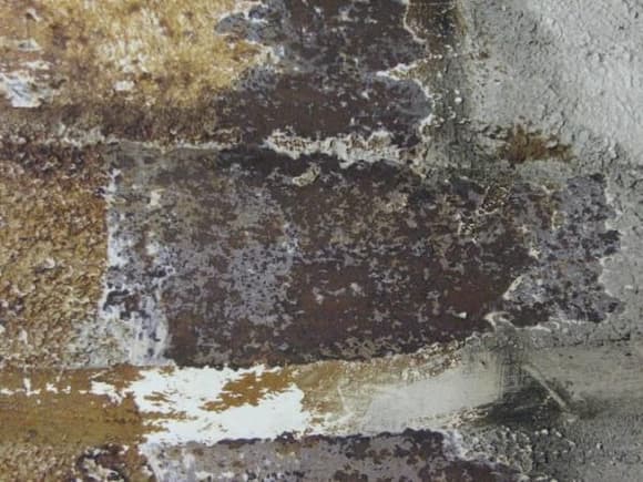 underhood rust was hidden by hood insulation and muffle coat