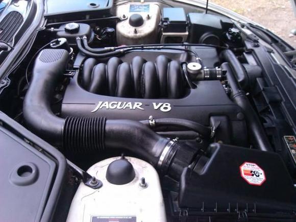 Engine - K &amp; N air filter. Metal thermostat housing.
