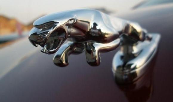 And what makes her a Jag...