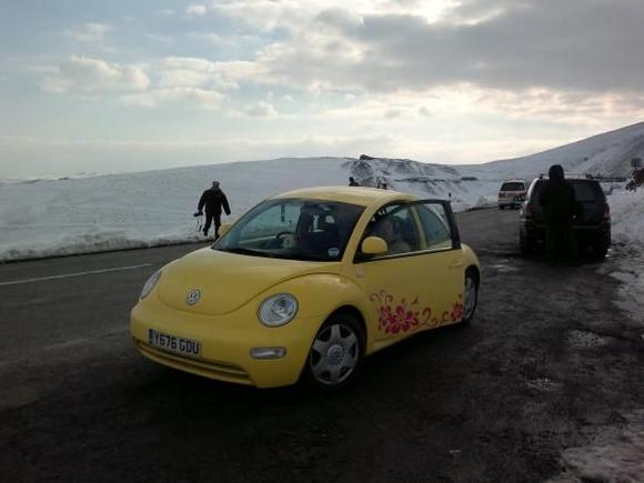 Beetle at Horseshoe Pass