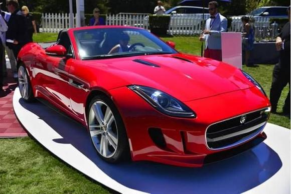 F Type 1
