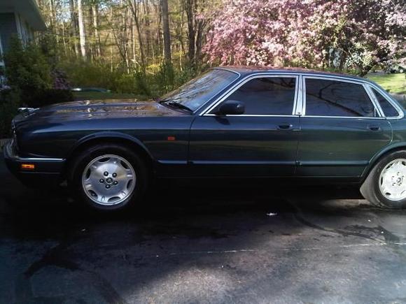 20% tints  (1)