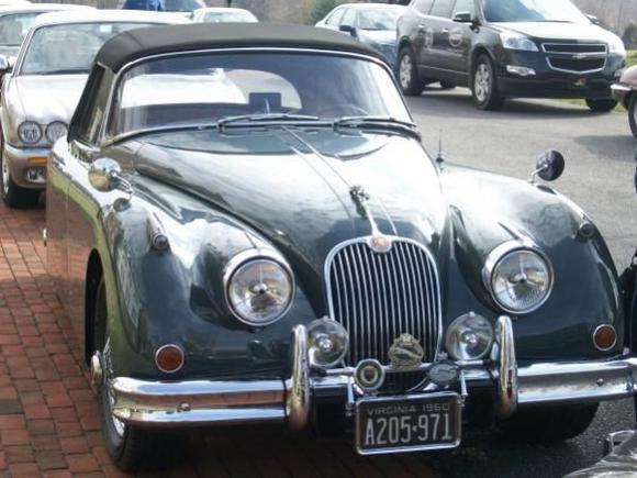 Classic Jaguar