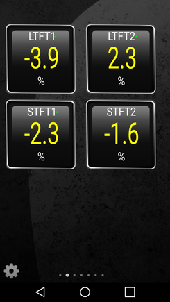 The long term and and short term fuel trims at idle