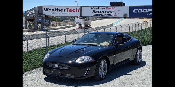 My Father's Day at Laguna Seca. My little cat wanted to run.