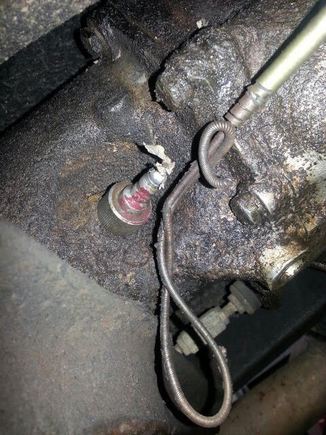 This could be the reason the speedo doesnt work