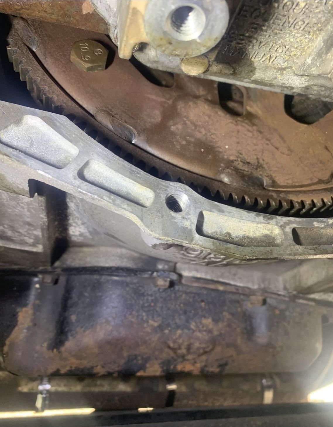 Stupid rattle maybe coming from flex plate? The top