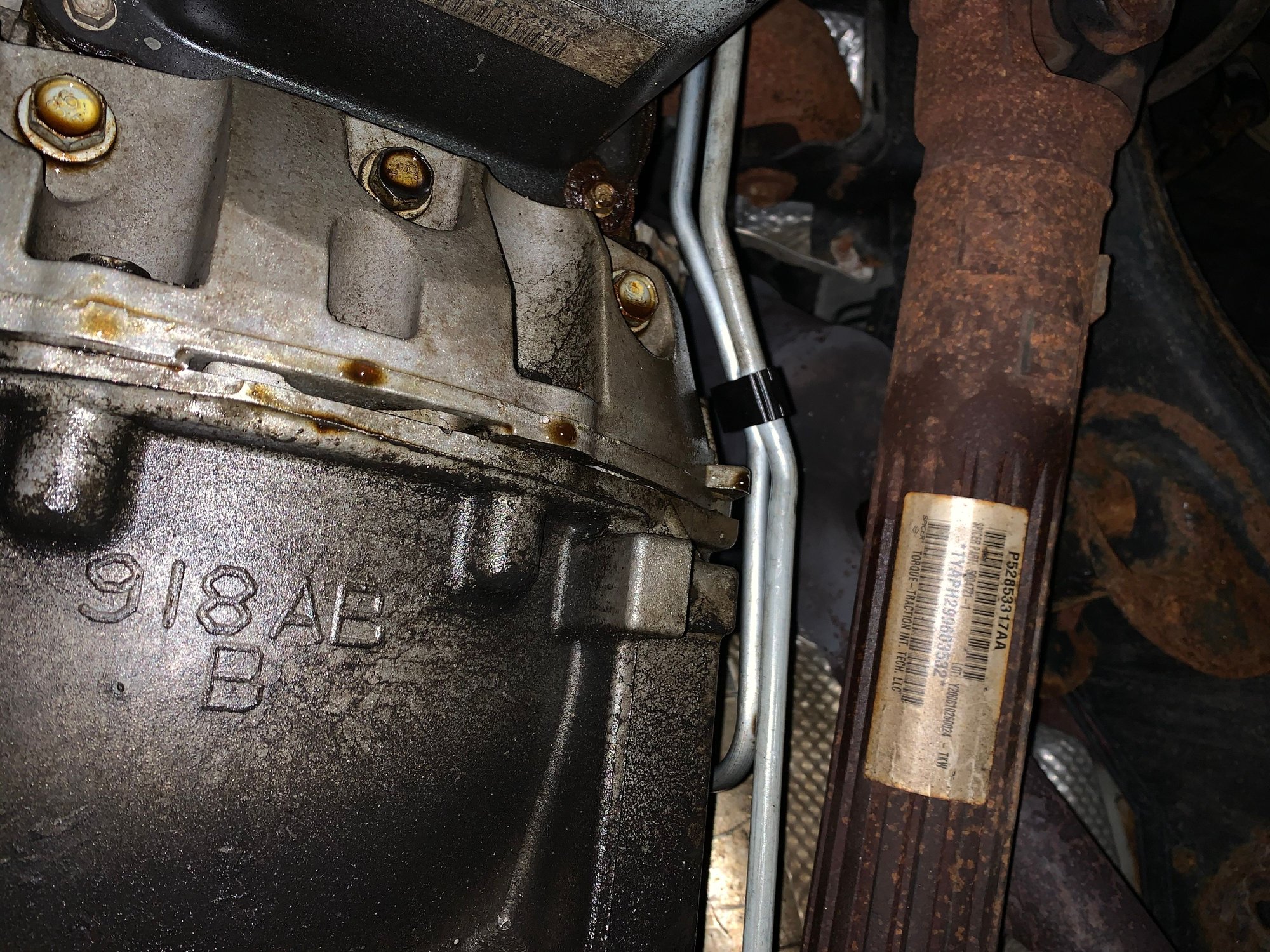 Transmission fluid leak standholoser