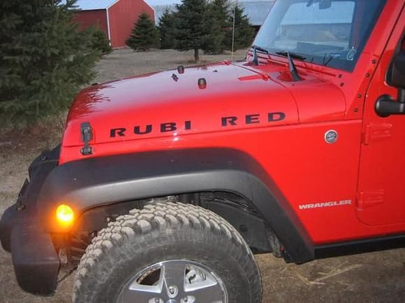 New Rubicon look.