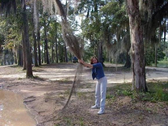 Mom swinging on Spanish Moss