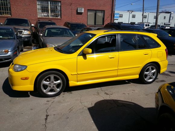 First day with the bee