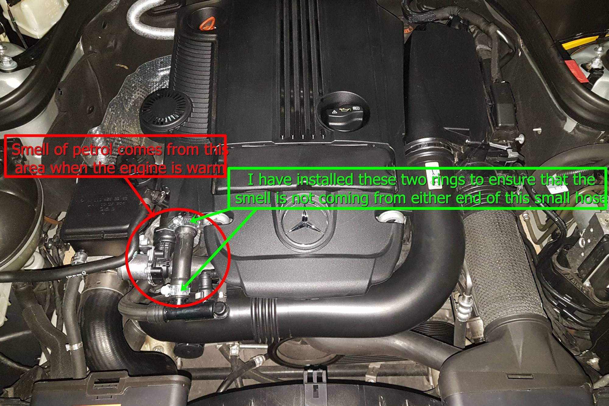 Fuel smell from engine bay Forums