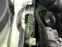 Closeup of passenger (right) exhaust cam adjuster solenoid