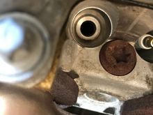 A teeny bit of oil appears to have collected in this well. Not enough to warrant a valve cover gasket replacement tho.