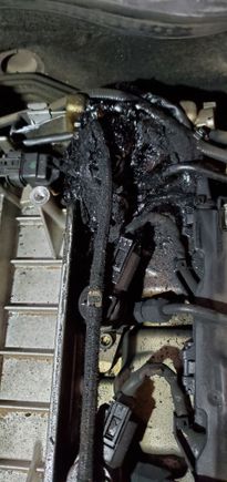 Big blob of black oily stuff near the back of the engine.