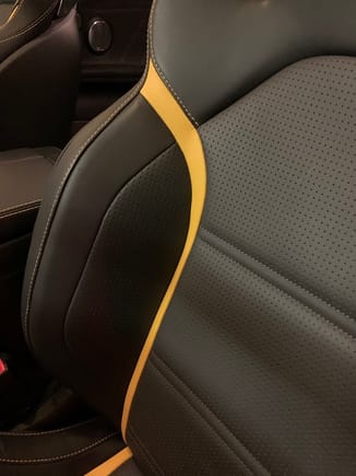 Example: My ventilated performance seats showing the perforated leather