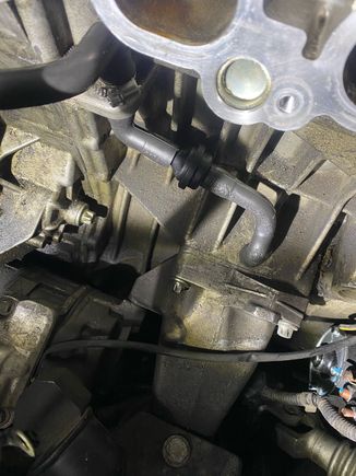 New check valve and hoses. 