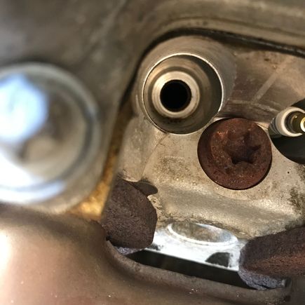 A teeny bit of oil appears to have collected in this well. Not enough to warrant a valve cover gasket replacement tho.