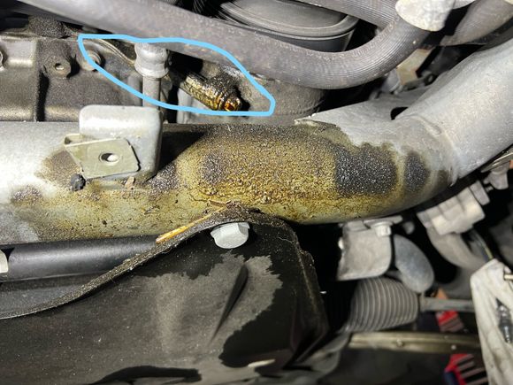 So...still wondering about this left side leak that appears wet and some volume