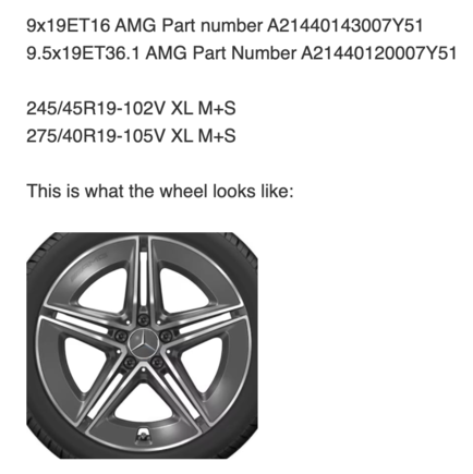 Official AMG E53 Winter wheels.