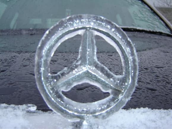 frozenMerc