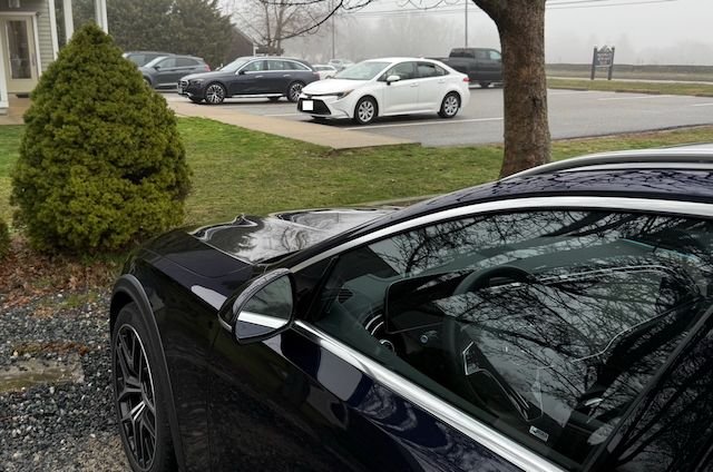 In the Wild!