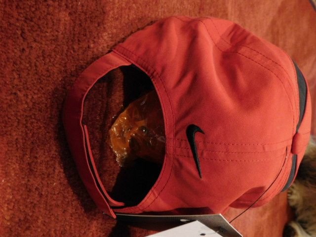 Miscellaneous - Authentic MB NIKE AMG CAP. Tags Attached - New - 2018 to 2022 Mercedes-Benz AMG GT R - St George, UT 84770, United States