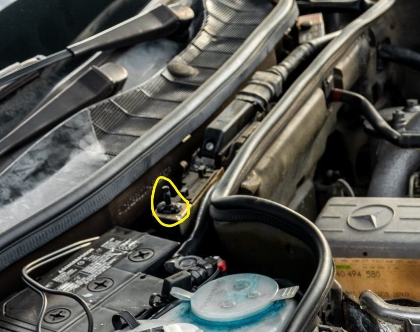 The circled part