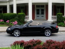 2002 Mustang GT.