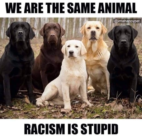 We're the same animal. Racism is stupid !!