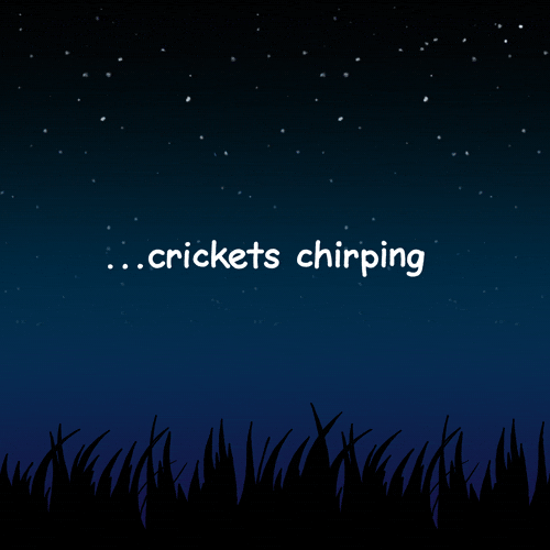 cheep cheep...cheep cheep...