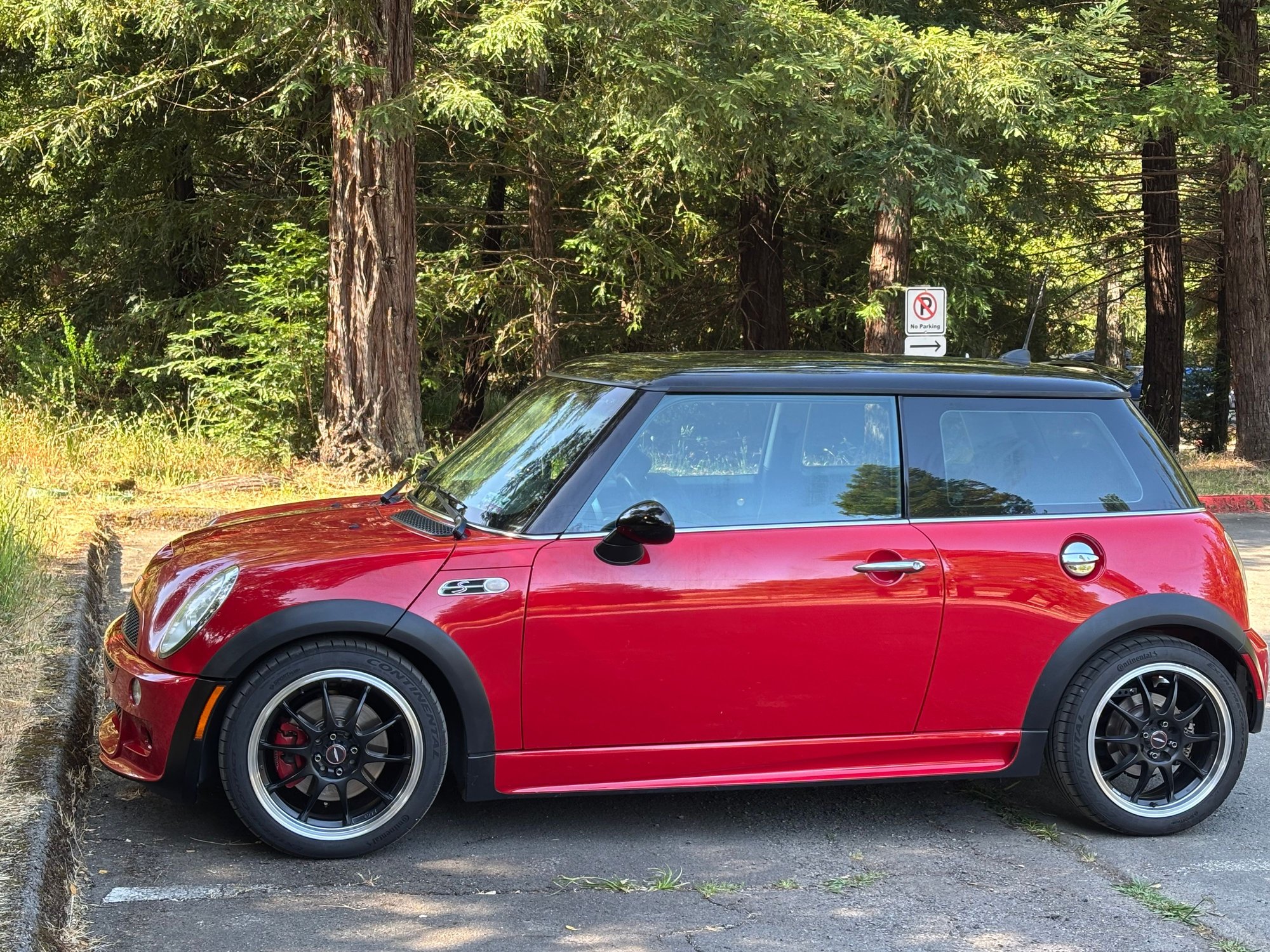 Chili Red by a Redwood Tree