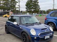 A novice MINI