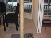 9851Scratching post