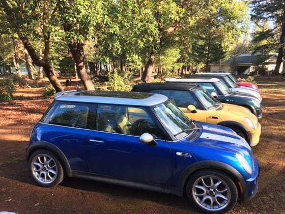 I have seven Minis right now! My favorite one is in the foreground. A 2006 Mini S JCW with Chrono package.