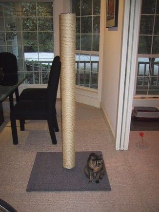 9851Scratching post